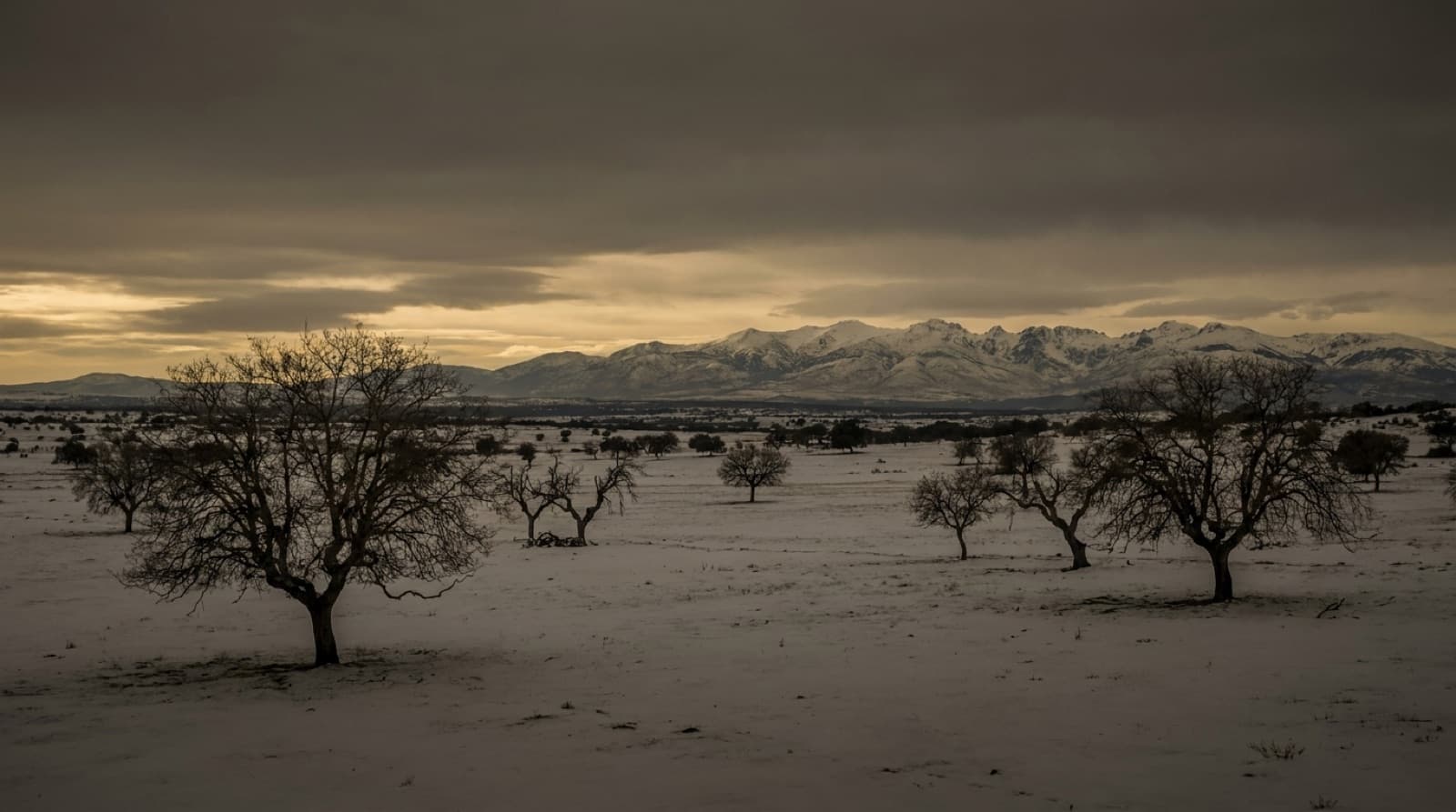 Meseta de Salamanca no inverno com a serra de Gredos nevada ao fundo